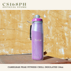 Camelbak Peak® Fitness Chill Insulated Water Bottle (24oz)